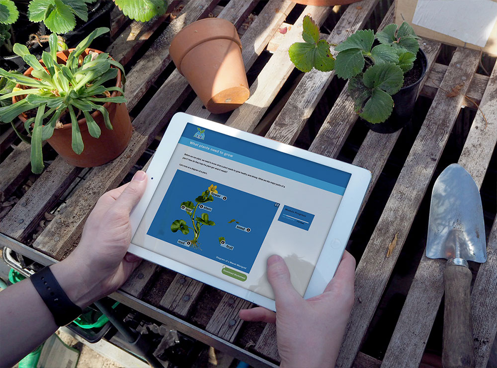 A young gardener using REEP's online English Through Gardening resource to learn English at the same time as gardening.