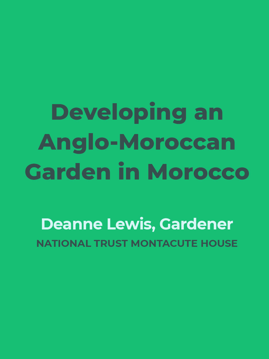 Developing an Anglo-Moroccan Garden in Morocco | Deanne Lewis, Gardener, National Trust Montacute House