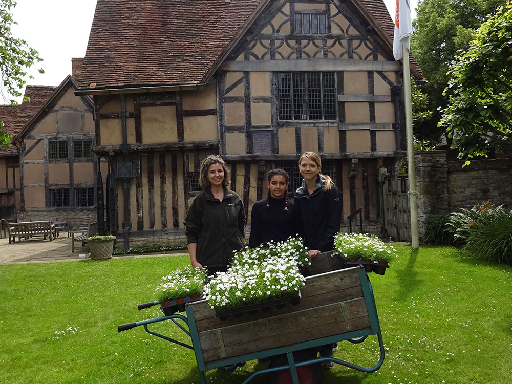 The 2016 McLaren Scholarship in England: Hall's Croft Garden, Shakespeare Birthplace Trust