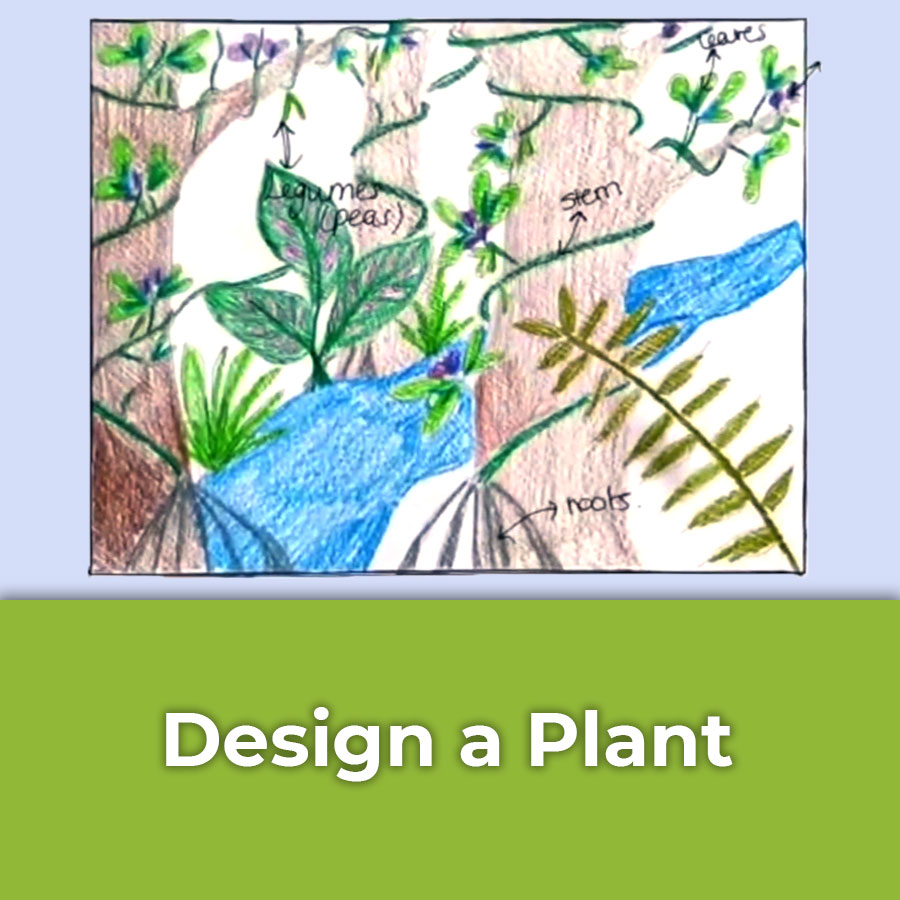 design a plant