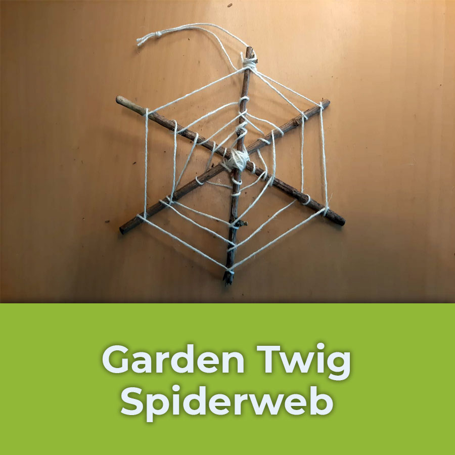 garden twig spiderweb