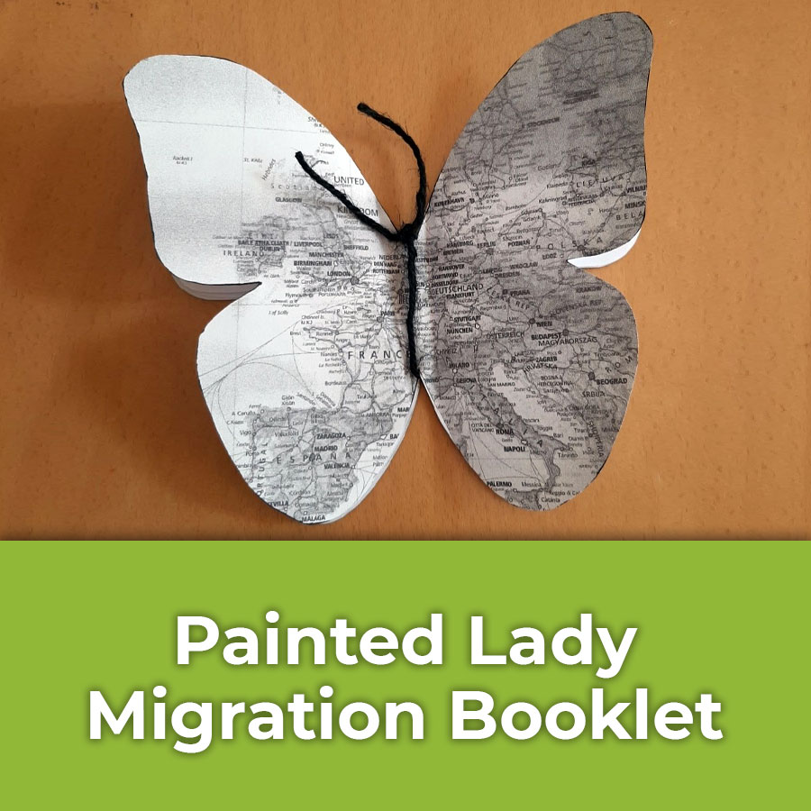 painted lady migration booklet