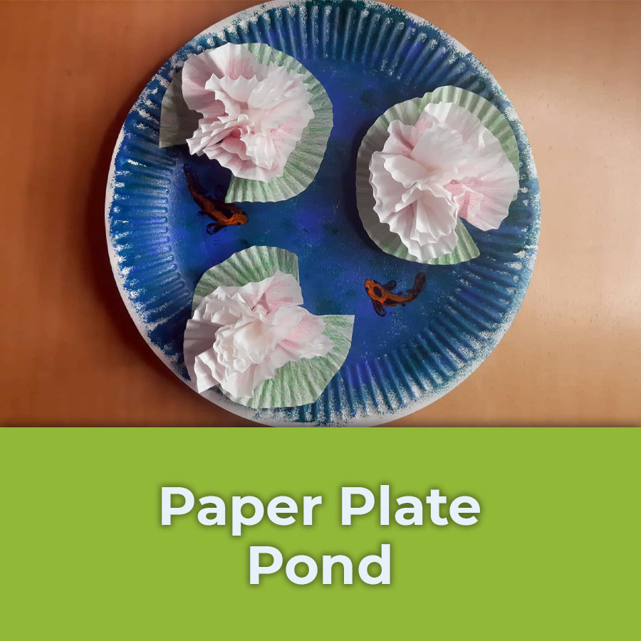 paper plate pond