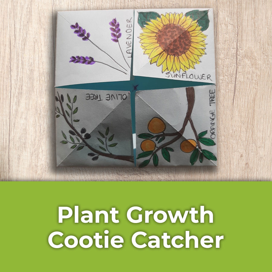 plant growth cootie catcher