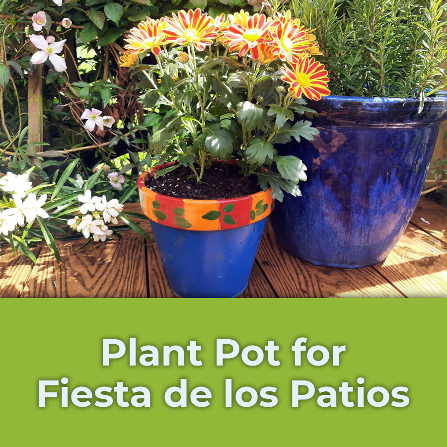 plant pot for fiesta de los patios