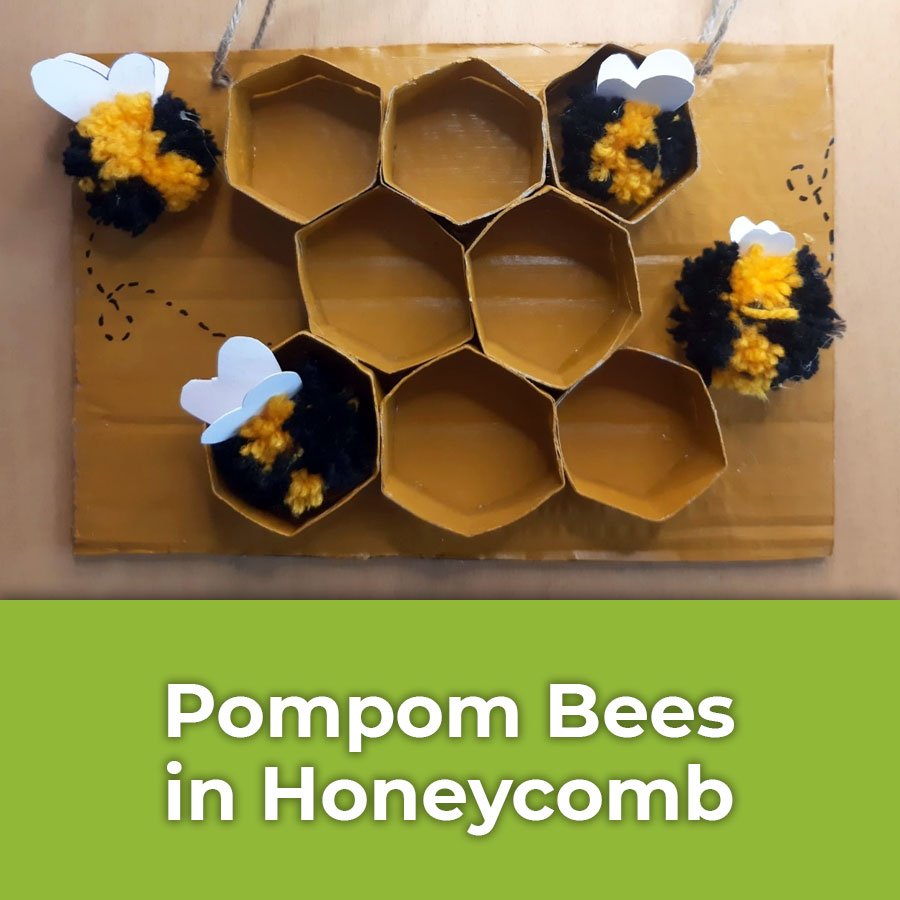 pompom bees in honeycomb