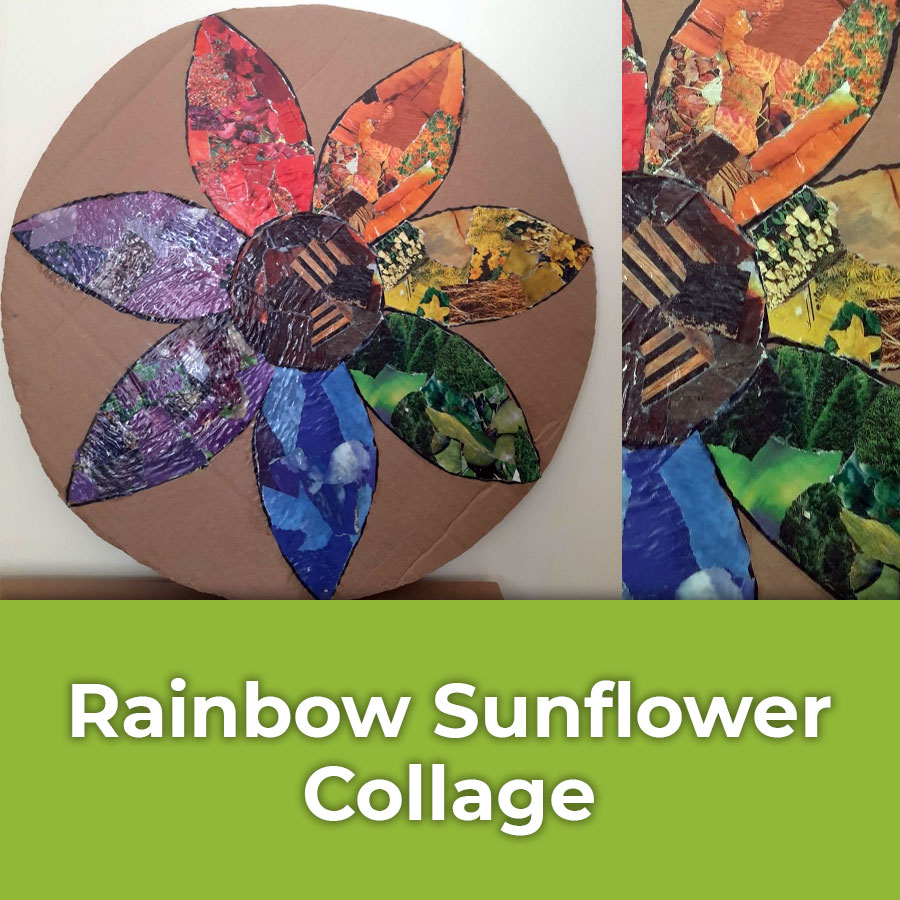 rainbow sunflower collage