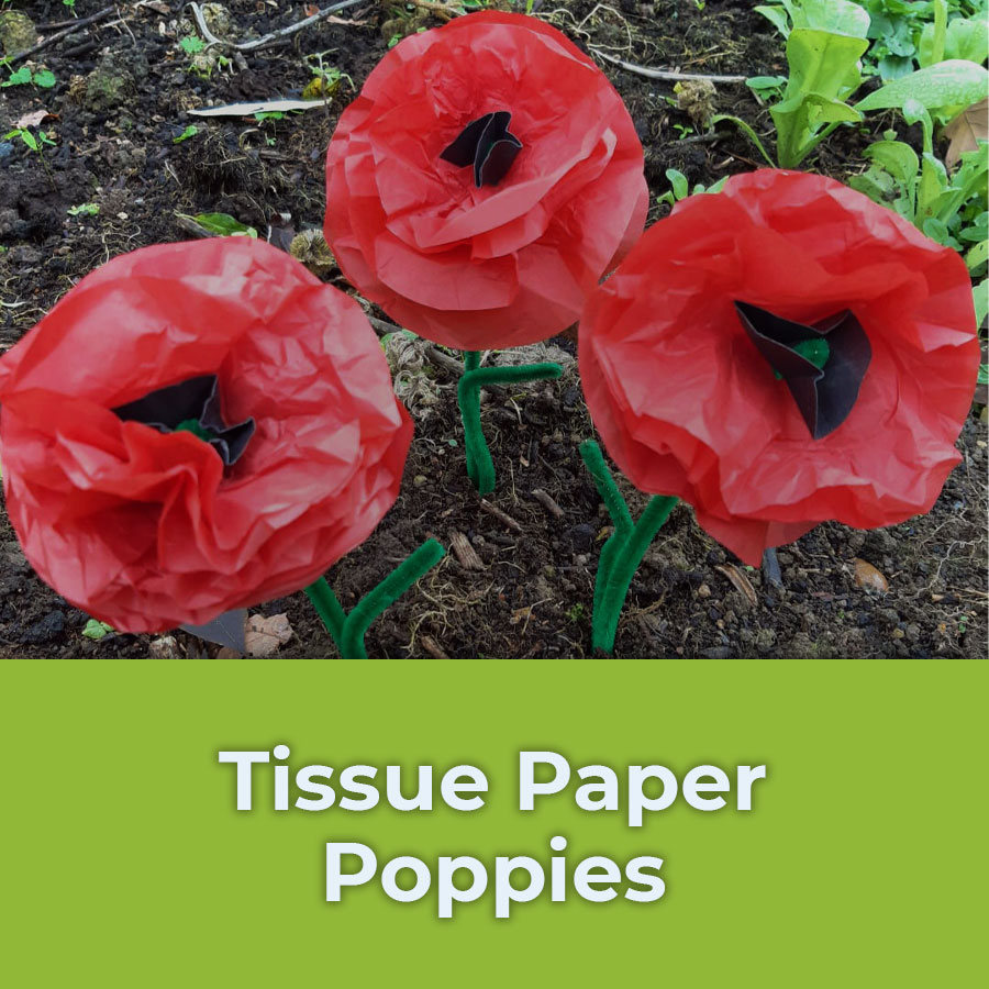 tissue paper poppies