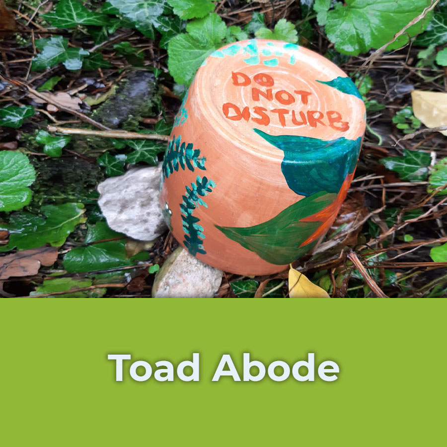 toad abode