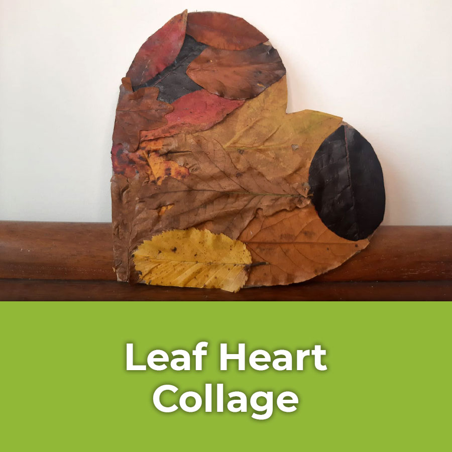 Leaf Heart Collage | IMAGE PREVIEW