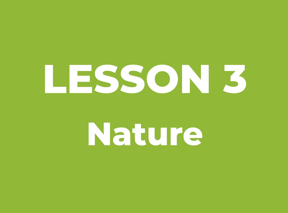 Lesson 3: Nature [AGDZ IMAGE PREVIEW]