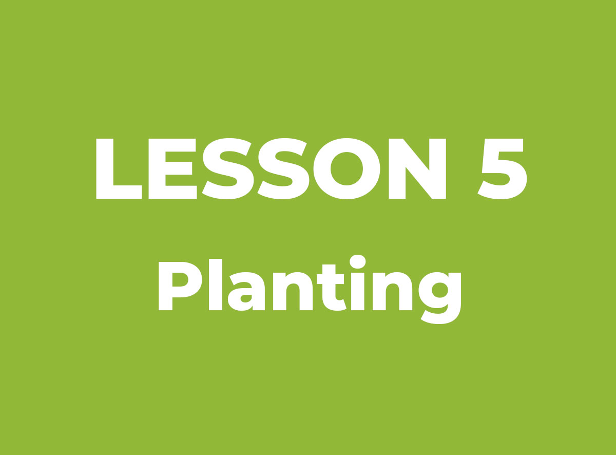 Lesson 5: Planting [AGDZ IMAGE PREVIEW]
