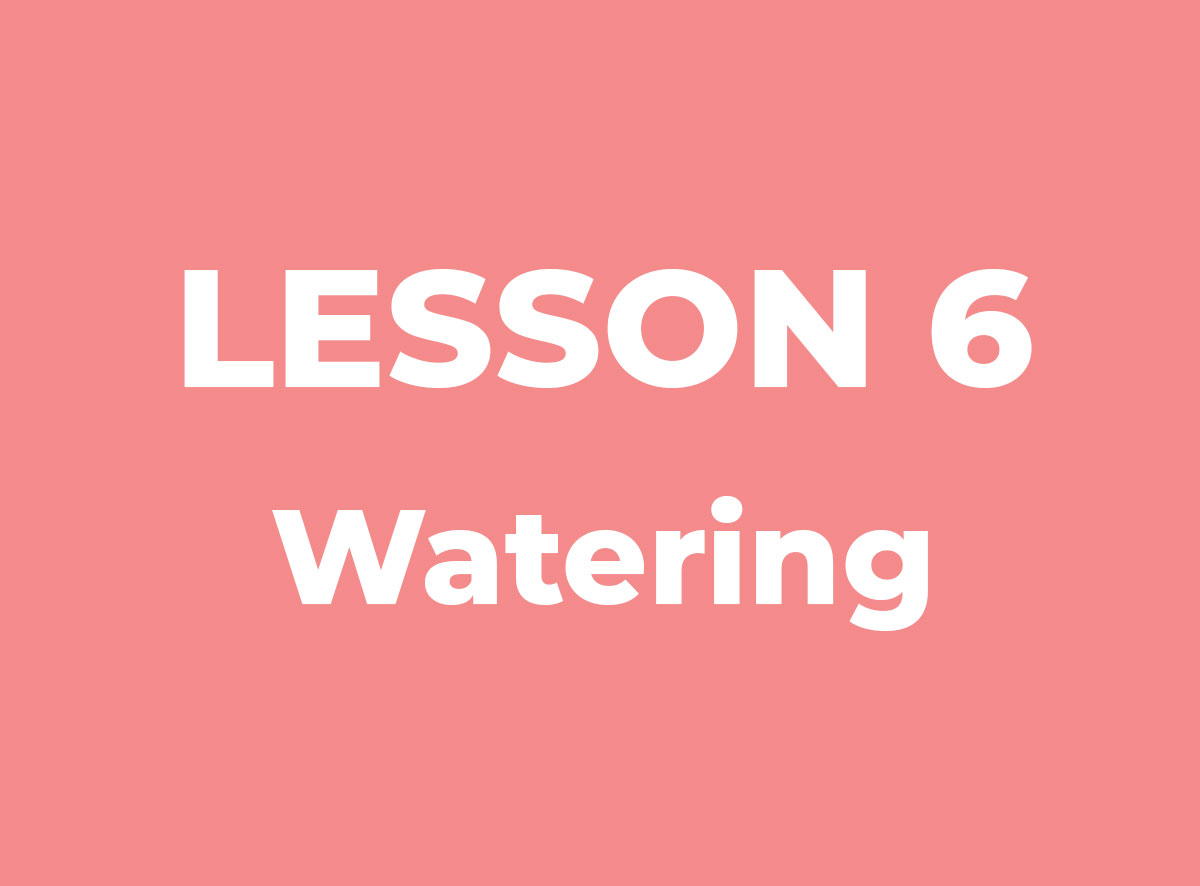 Lesson: 6: Watering [AGDZ IMAGE PREVIEW]