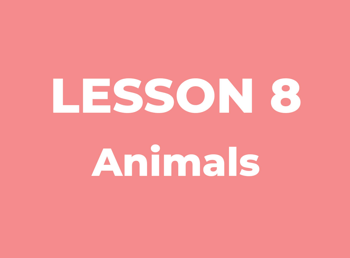 Lesson 8: Animals [AGDZ IMAGE PREVIEW]