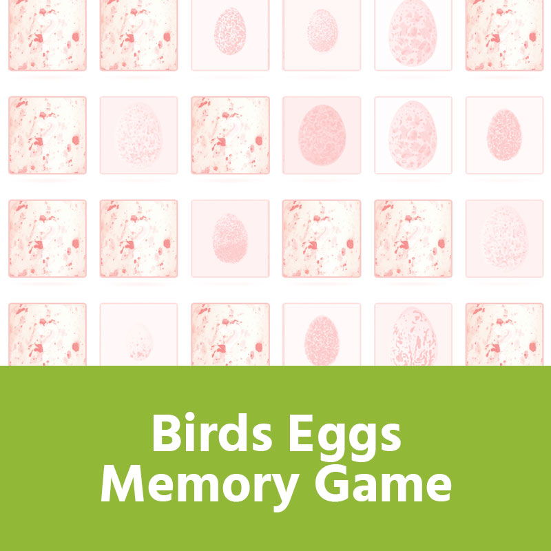 Birds Eggs Memory Game IMAGE PREVIEW