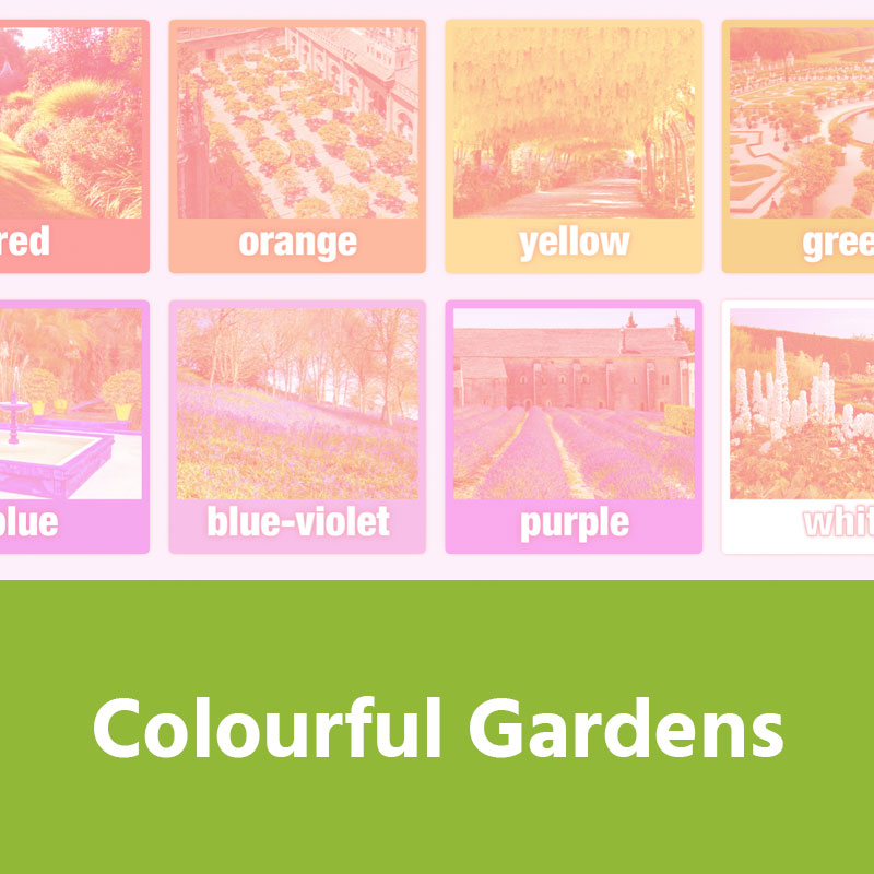 Colourful Gardens IMAGE PREVIEW