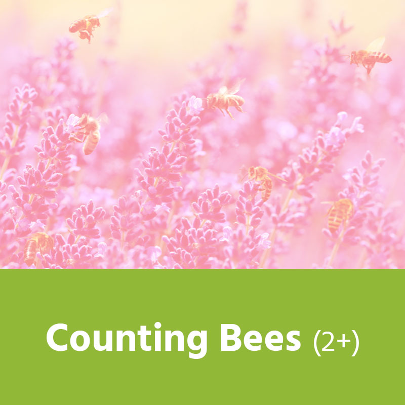 Counting Bees (2+) IMAGE PREVIEW