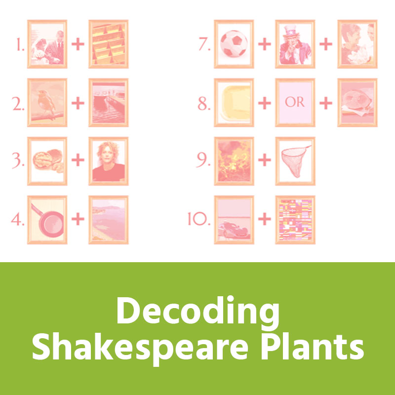 Decoding Shakespeare Plants IMAGE PREVIEW
