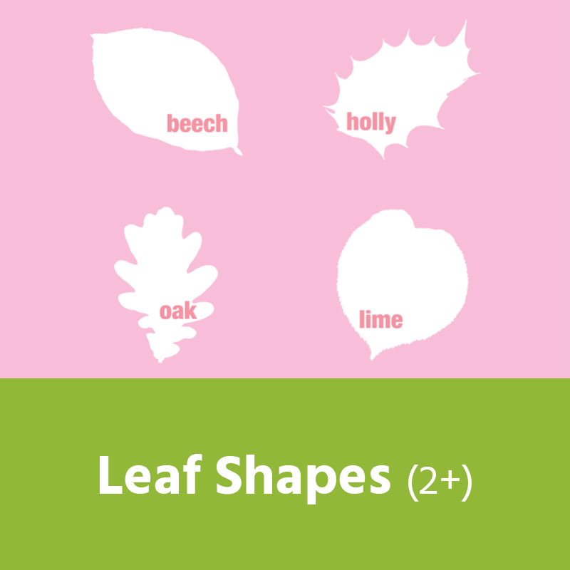 Leaf Shapes (2+) IMAGE PREVIEW