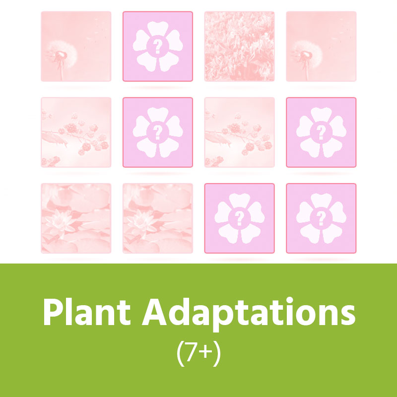 Plant Adaptations (7+) IMAGE PREVIEW