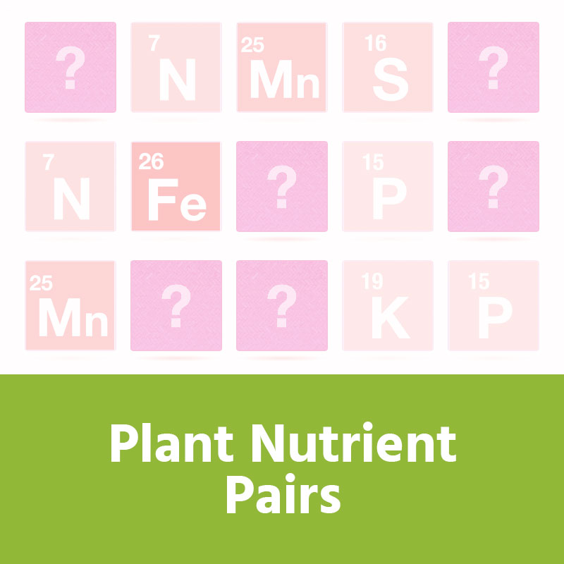 Plant Nutrient Pairs IMAGE PREVIEW
