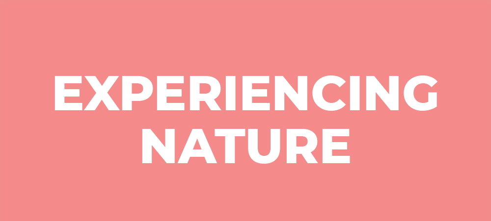 Experiencing Nature (Faiths for the Future Image Preview)