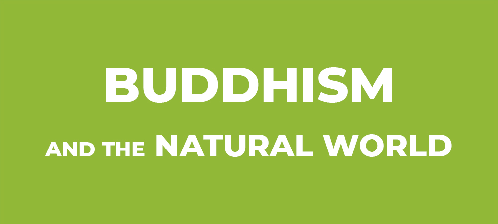 Buddhism and the Natural World (Faiths for the Future Image Preview)