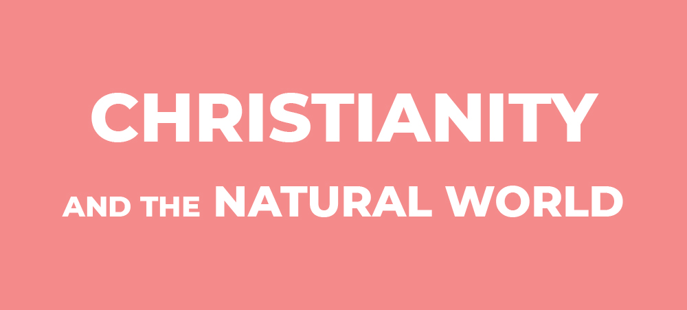 Christianity and the Natural World (Faiths for the Future Image Preview)