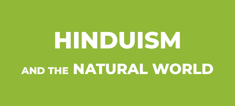 Hinduism and the Natural World (Faiths for the Future Image Preview)